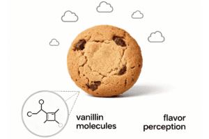 Illustration of chocolate chip cookies showing chemistry of vanilla in baking